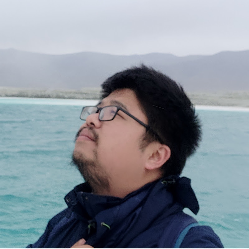 小胖墩头发厚(光影123)