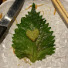 mF0BWXPUU90-channel-avatar-Destination Sweet Eats