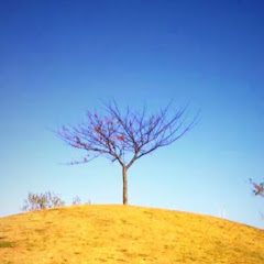 R.S