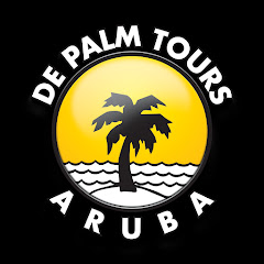 De Palm Tours net worth