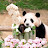 @SSong_Yeobo