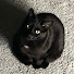 8e_msDNFwAo-channel-avatar-LizzyBits