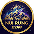 aOybi-u25Ns-channel-avatar-Núi Rừng EDM