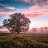 @soundofnature-c8v