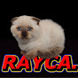 RAYCA. channel logo