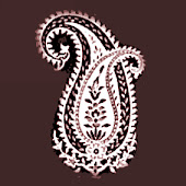 Paisley_Trees