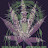 @UNCLESTONE-x3d