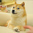 @Doge0324