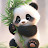 Panda Animals Funny