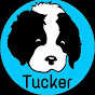Tucker Saint Bernard YouTube Profile Photo
