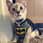@BatCatYT