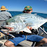 9j_vPh06IsE-channel-avatar-CalsFishin