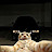 Avatar photo