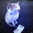 LusiNGb82qk-channel-avatar-SOMNORA
