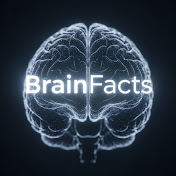 BrainFacts