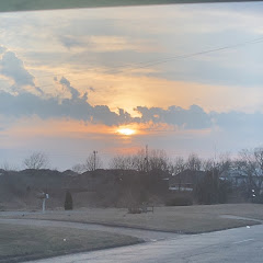 🦁PrideRock_Podcast1🦁