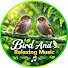 VY_DcfM2Ovg-channel-avatar-Bird 