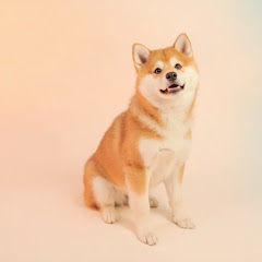 梁新