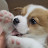 @용복덩이