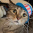 Avatar photo