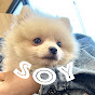 �ݥ��˥���Υ���🐶_icon