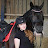 Alanna Clarke Equestrian