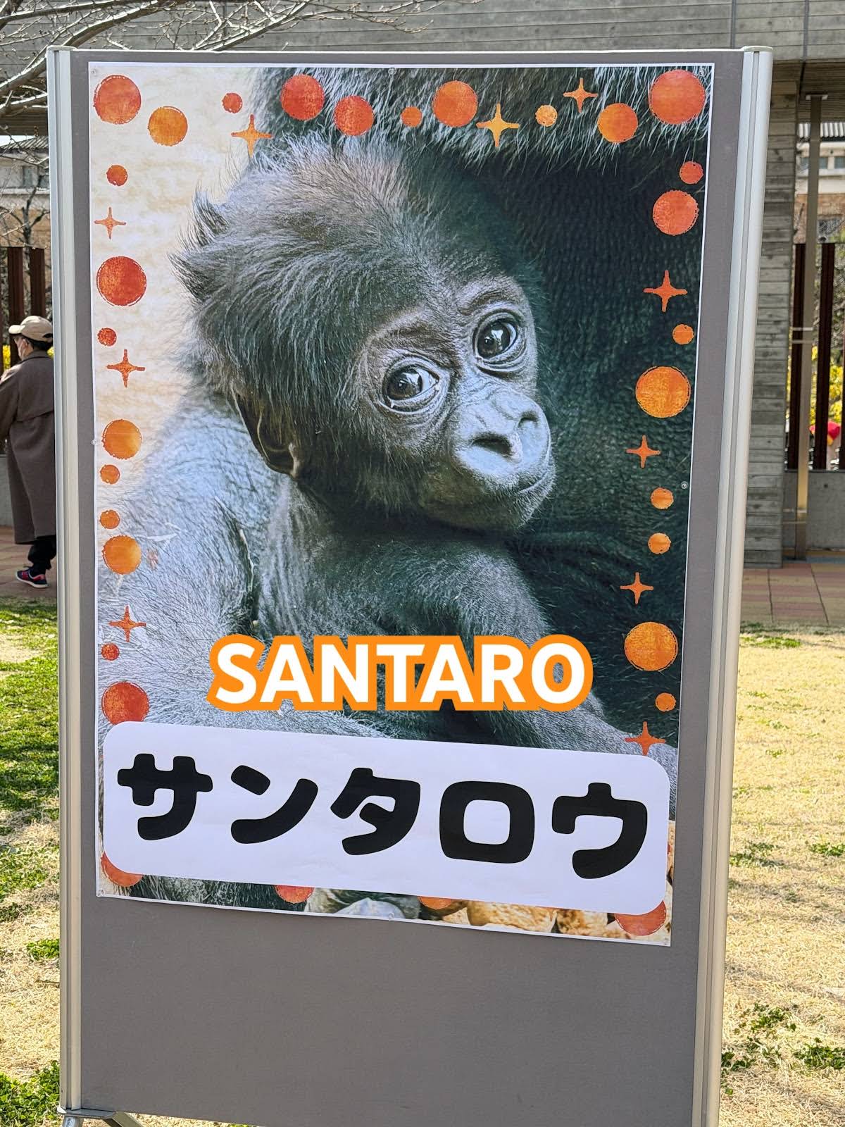 ゴリラ色の世界【Gorilla World】 - YouTube