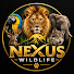 H2r2QbGVngw-channel-avatar-Nexus Wildlife and Nexus Birds