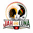 wi_Anrbcy-4-channel-avatar-JAH & LUNA