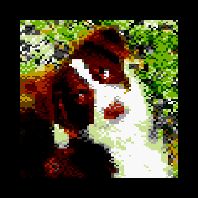 𝕎𝕒𝕣𝕣𝕖𝕟 𝟡𝟘𝟘𝟘