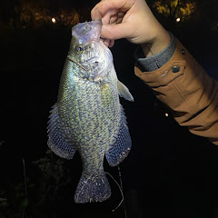 Lady Anglers Midwest