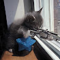 SniperKittenCZ