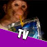 NULZQ5zCjZI-channel-avatar-TibsonTV