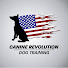 c91wXfhtgH4-channel-avatar-Canine Revolution Dog Training