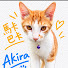 PQrAeZqDxts-channel-avatar-Akira江西南癒しの猫