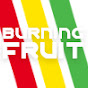 Burning Fruit - User Experience (UX) Specialists logo