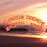 xR9OYwB9jXM-channel-avatar-Florida Trends Sports News