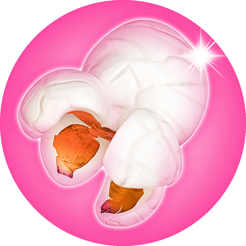 The Pink Popcast
