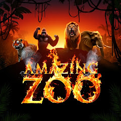 Amazing ZOO 