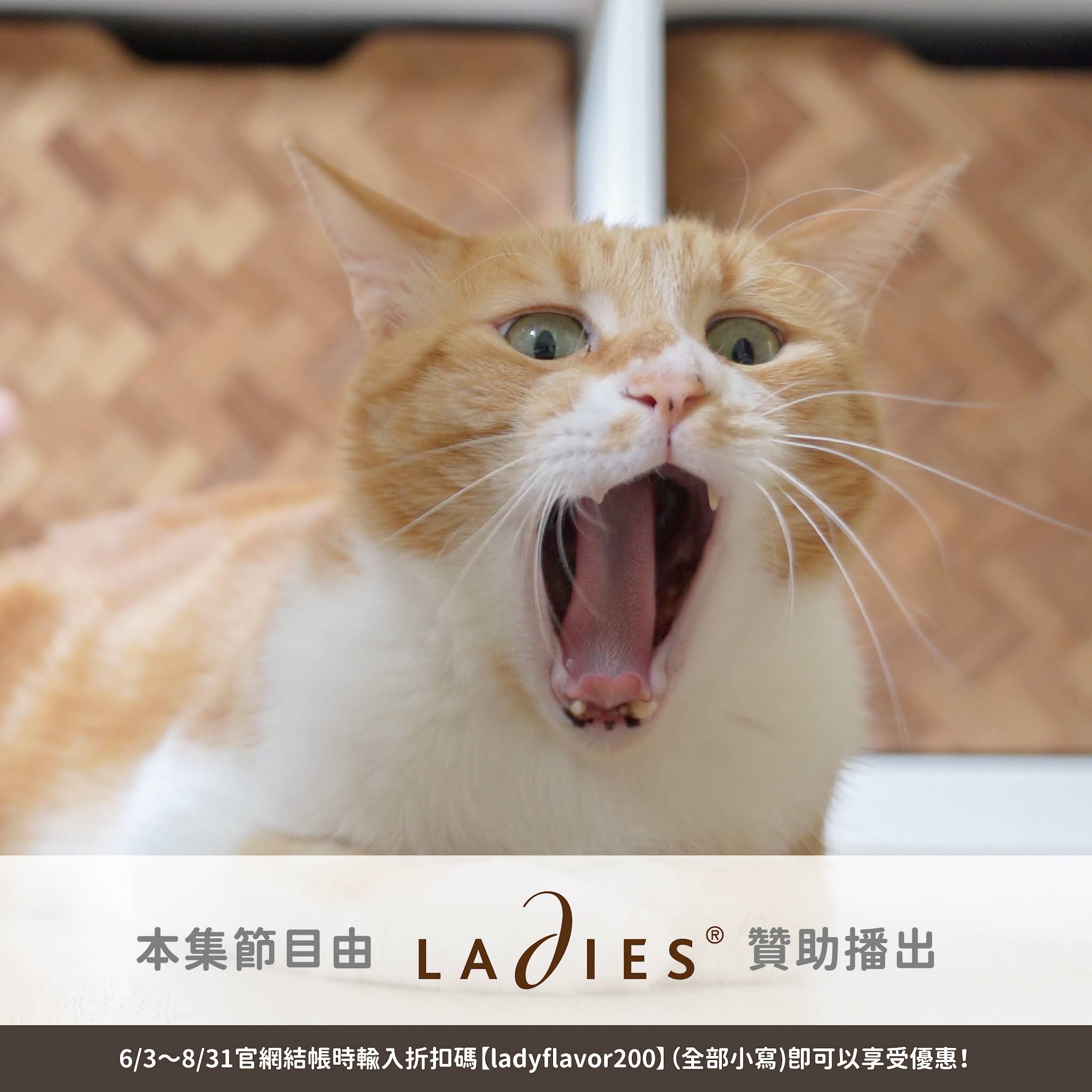 Post from 好味小姐 Lady Flavor