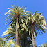 1JiYWcN79G4-channel-avatar-Access GRAN CANARIA