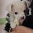 @삶의끝까지너와함께