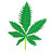 @大麻420cannabissmokeチャンネル