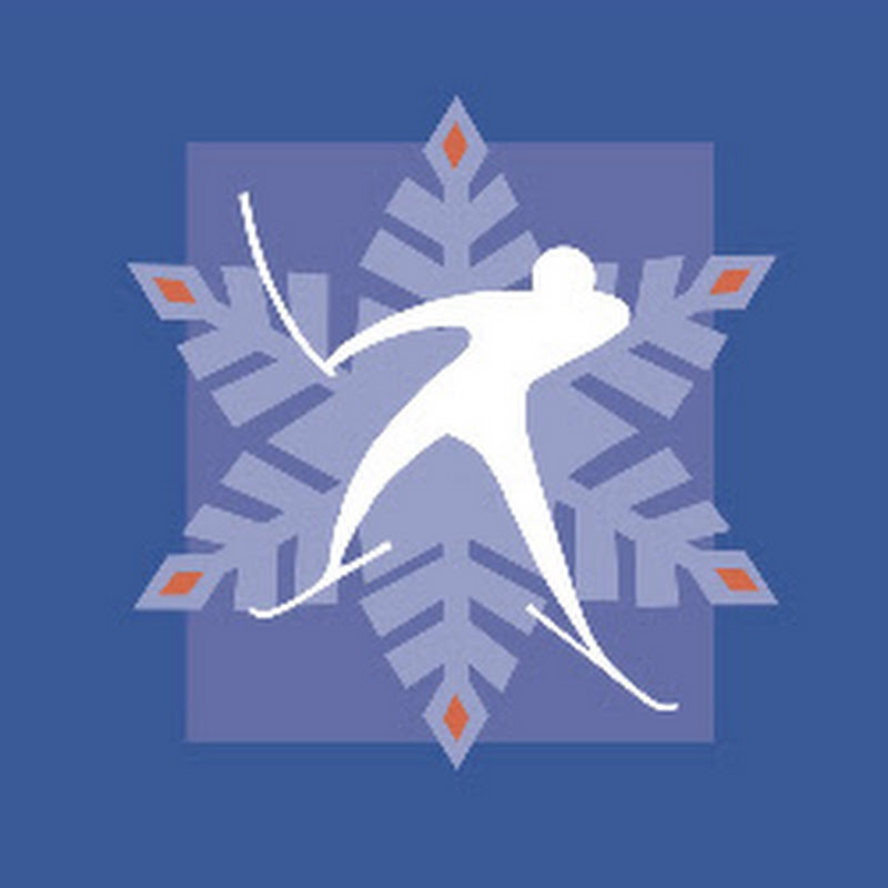 NSCF WebCam logo