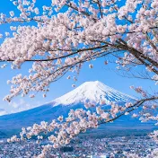 和の視点
