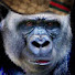 Eveld9wWPgg-channel-avatar-GENADELOOS