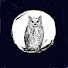 nWI1VQcislo-channel-avatar-Nightowl 79