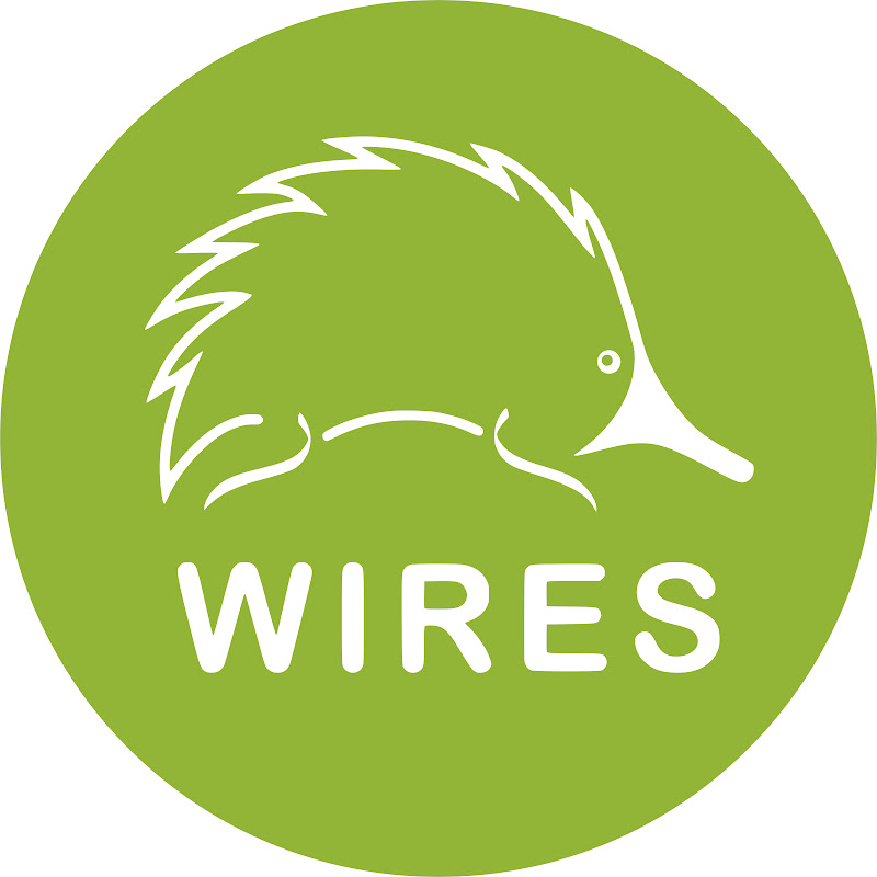 WIRES profile avatar