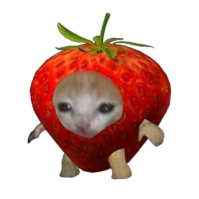 Channel Avatar