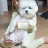@전보민우봉일상